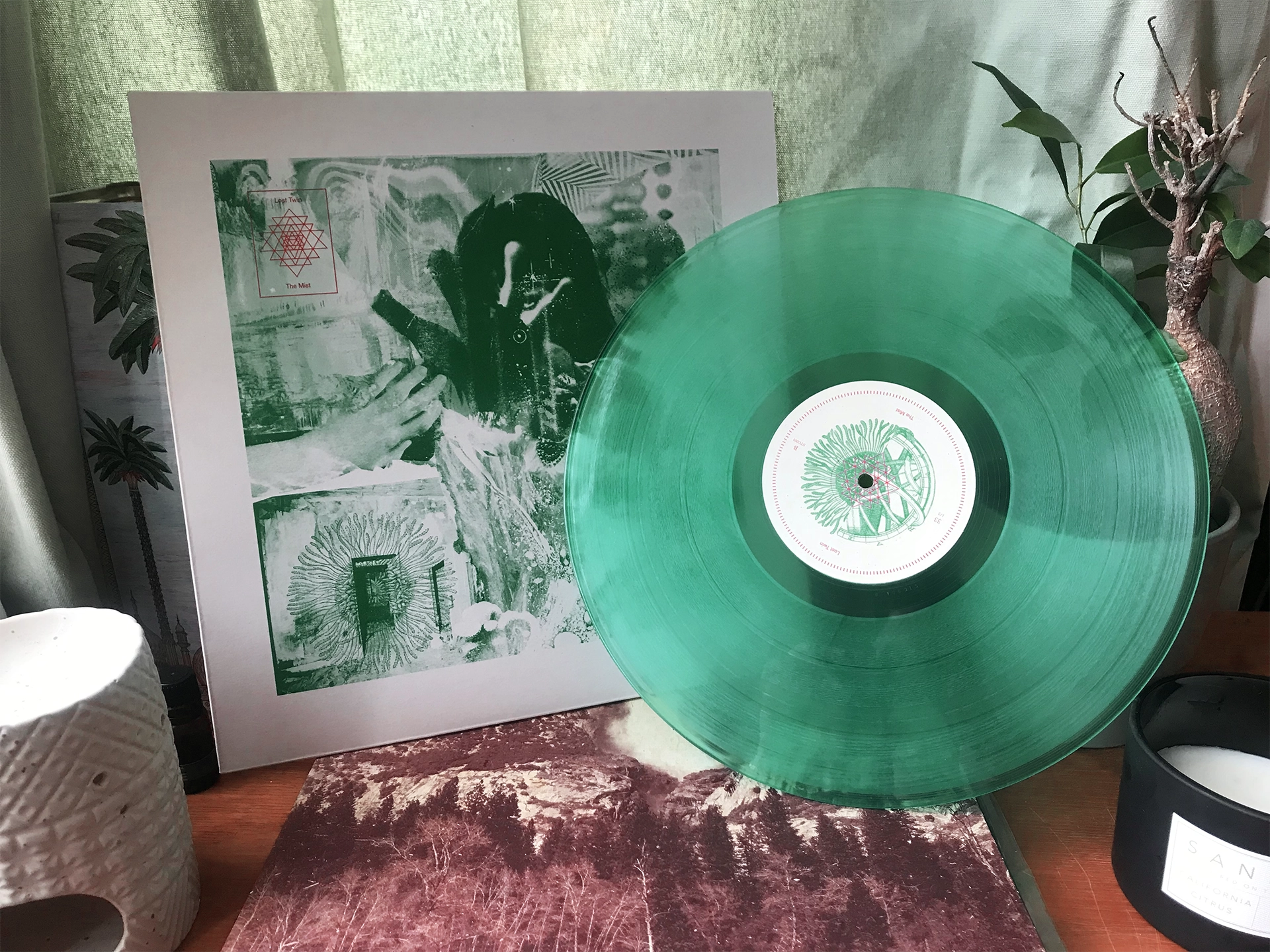 Lost Twin — The Mist